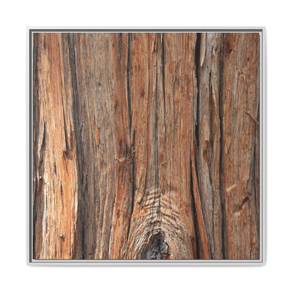 Echoes of Timber - Unique Stretched Canvas Wall Art - Art By Earth