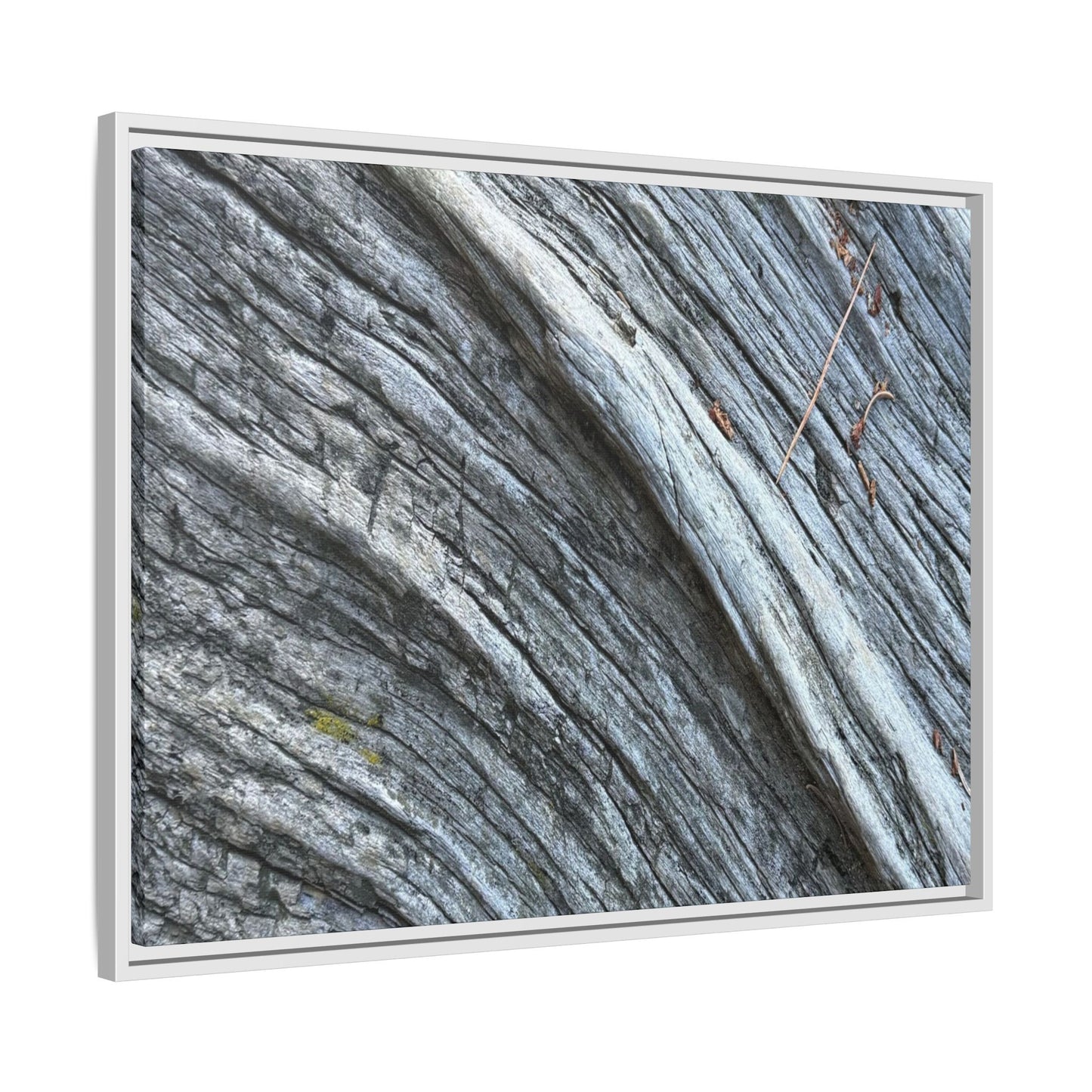 Aged Timber - Unique Stretched Canvas Wall Art - Art By Earth