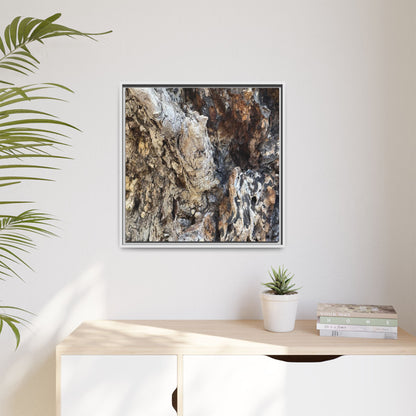 Ancient Tree Texture - Unique Stretched Canvas Wall Art - Art By Earth