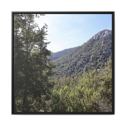 Mountain Valley Forest - Unique Stretched Canvas Wall Art