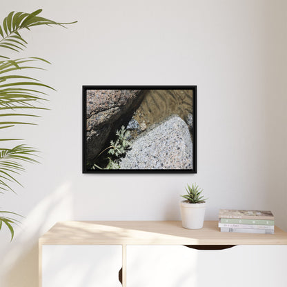 Resilience in Stone - Unique Stretched Canvas Wall Art - Art By Earth
