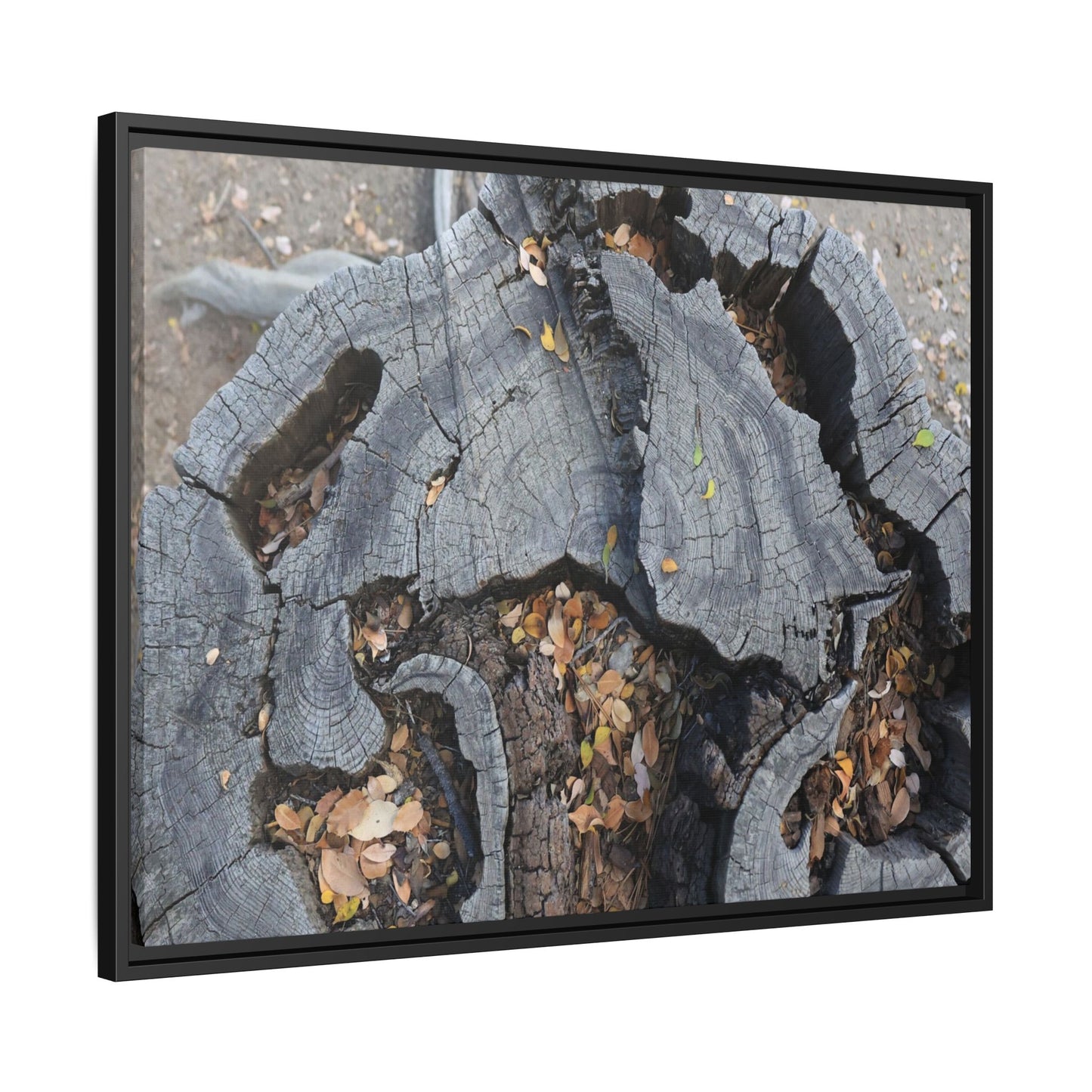 Time's Fractal Memory - Unique Stretched Canvas Wall Art - Art By Earth