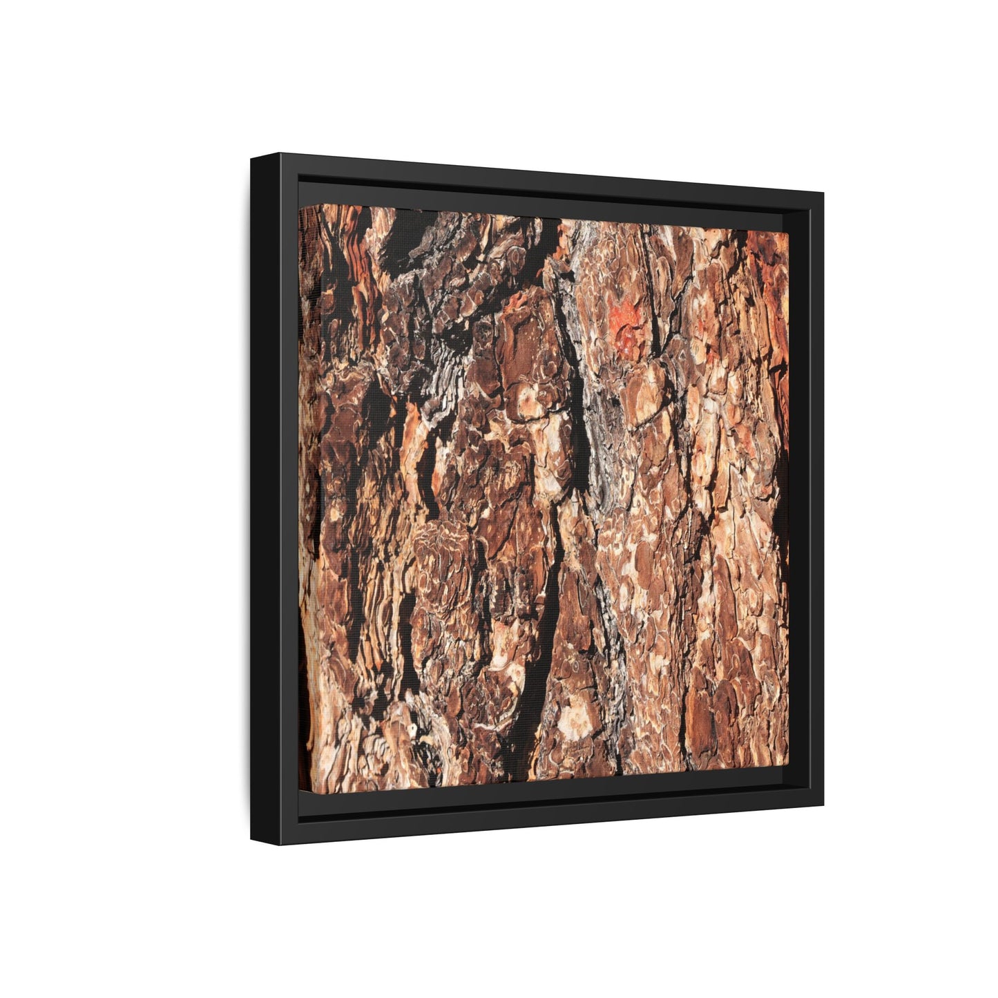 Nature's Rugged Canvas - Unique Stretched Canvas Wall Art
