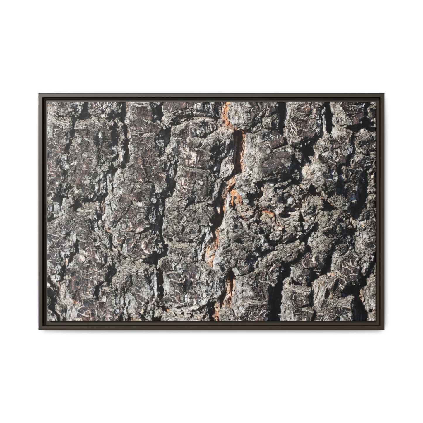 Aged Beauty - Unique Stretched Canvas Wall Art - Art By Earth