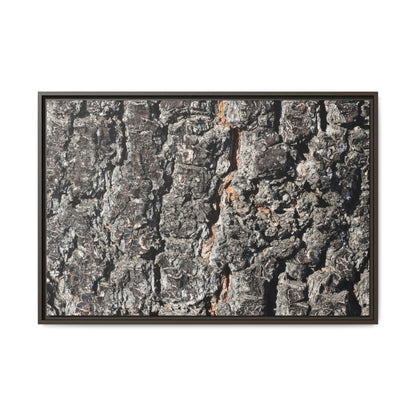 Aged Beauty - Unique Stretched Canvas Wall Art - Art By Earth