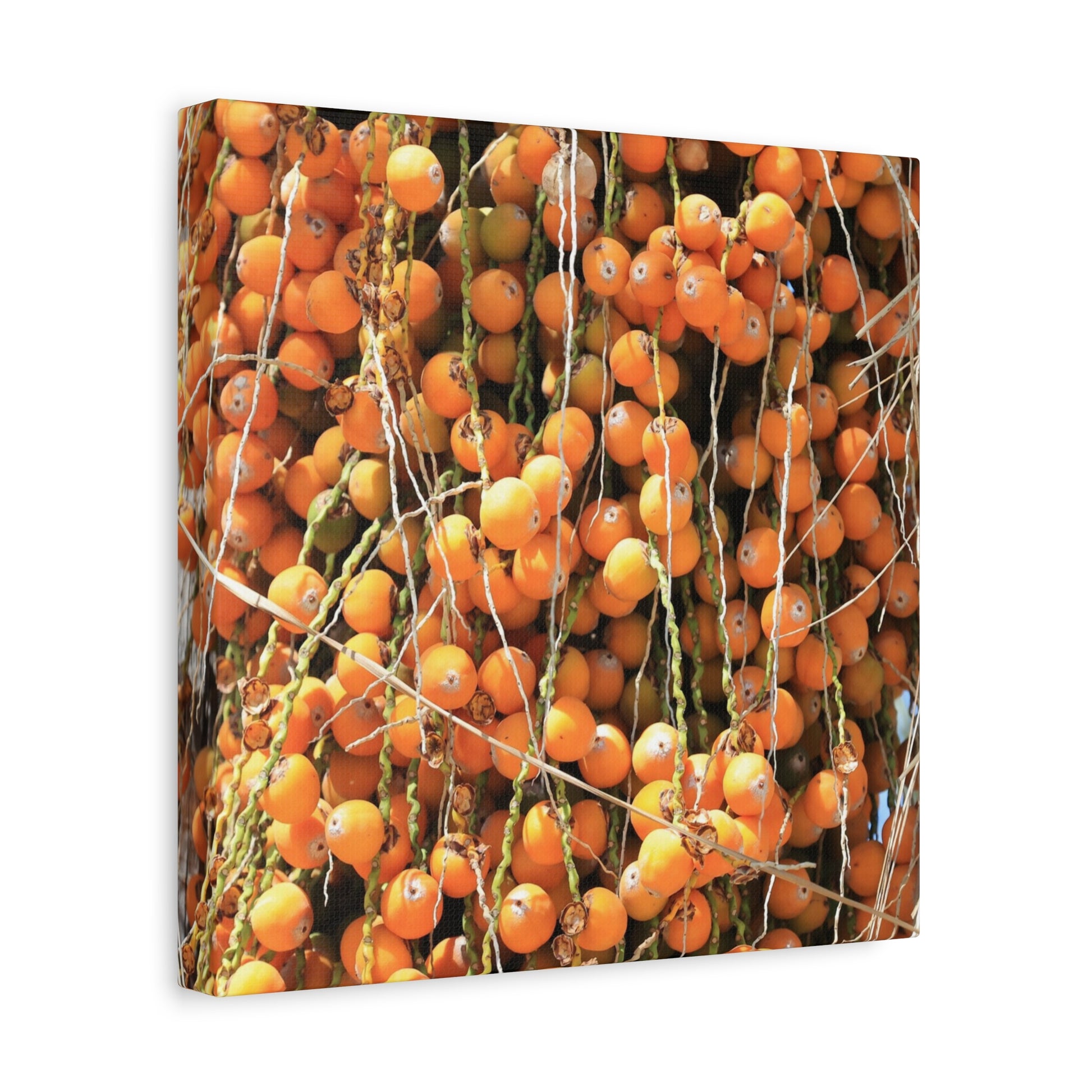 Orange Harvest - Unique Frameless Canvas Wall Art - Art By Earth