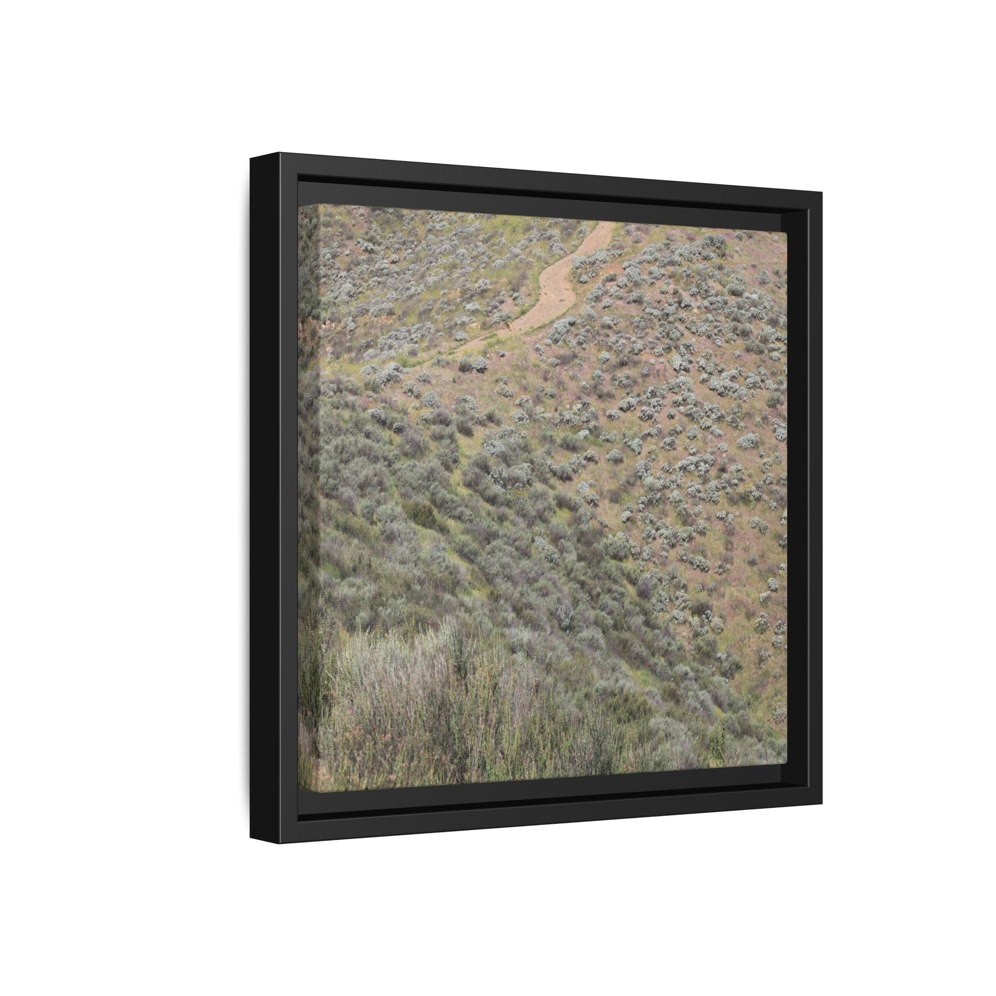 Arid Landscape with Winding Path - Unique Stretched Canvas Wall Art - Art By Earth