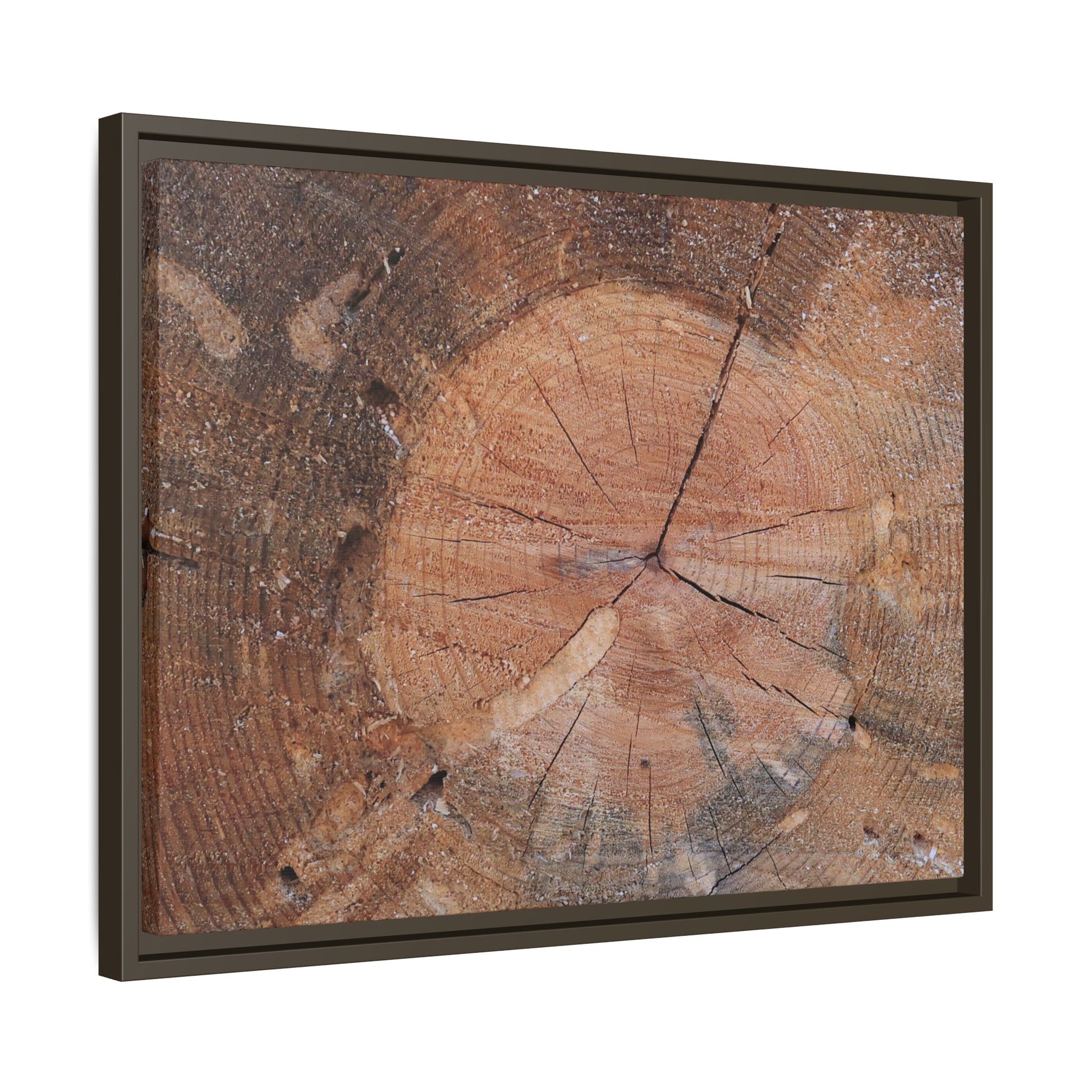 Concentric Memories - Unique Stretched Canvas Wall Art - Art By Earth