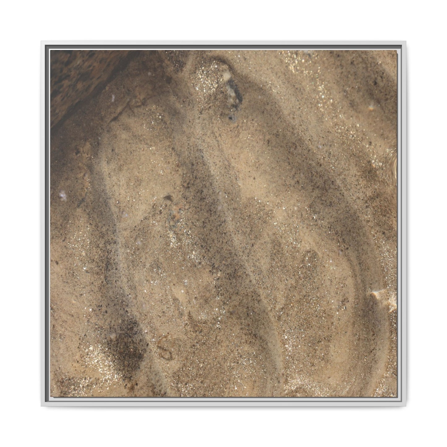 Tidal Pool Secrets - Unique Stretched Canvas Wall Art - Art By Earth