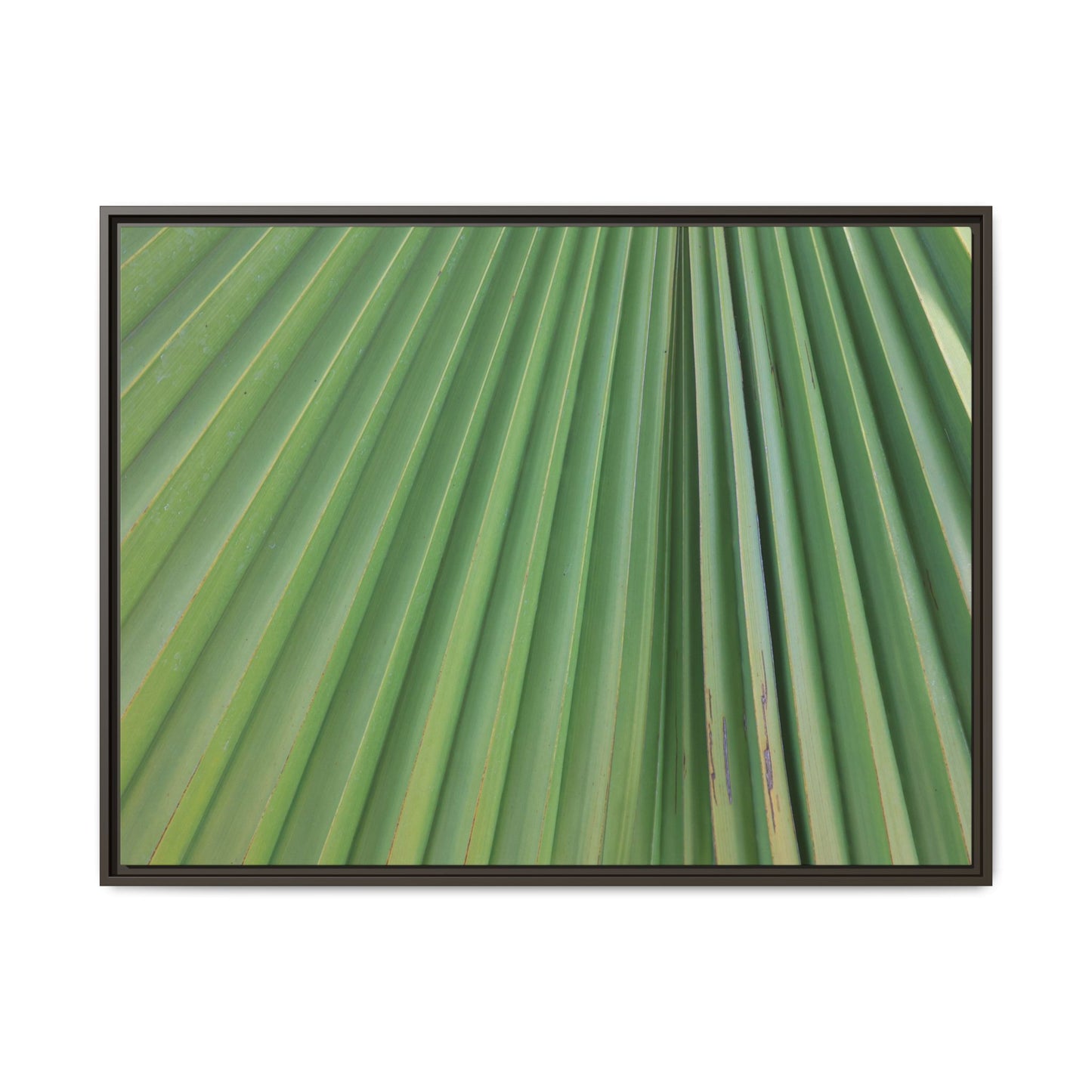 Emerald Rays - Unique Stretched Canvas Wall Art - Art By Earth