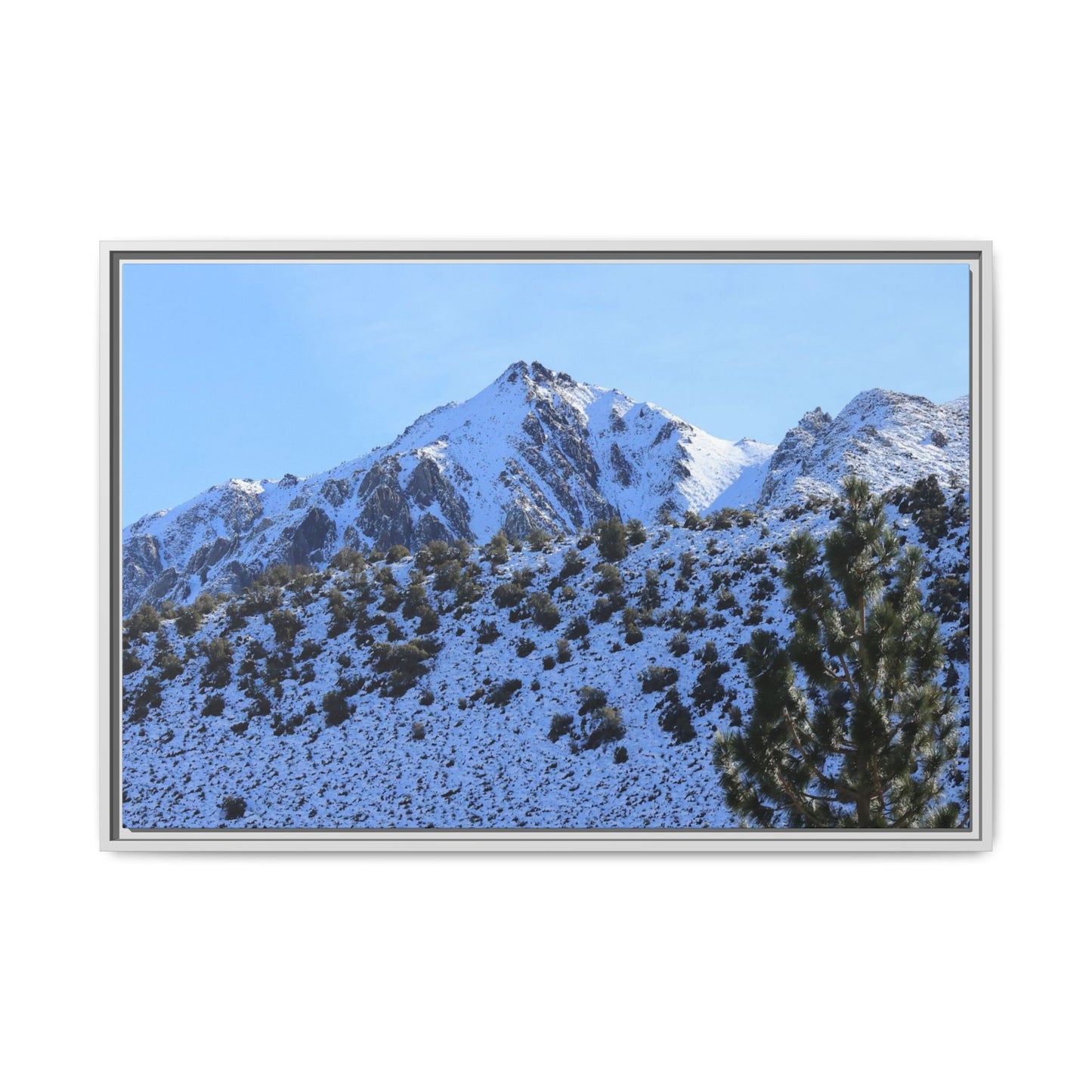 Snow's Embrace - Unique Stretched Canvas Wall Art