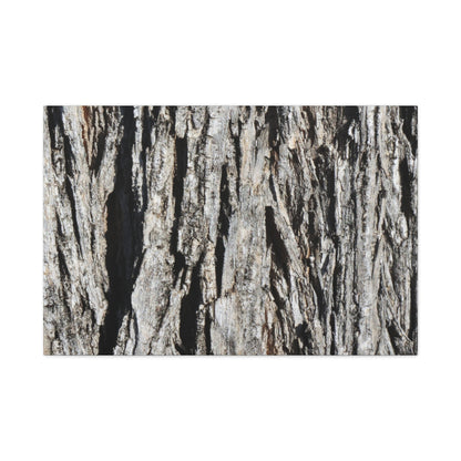 Bark Layers in Monochrome - Unique Frameless Canvas Wall Art - Art By Earth