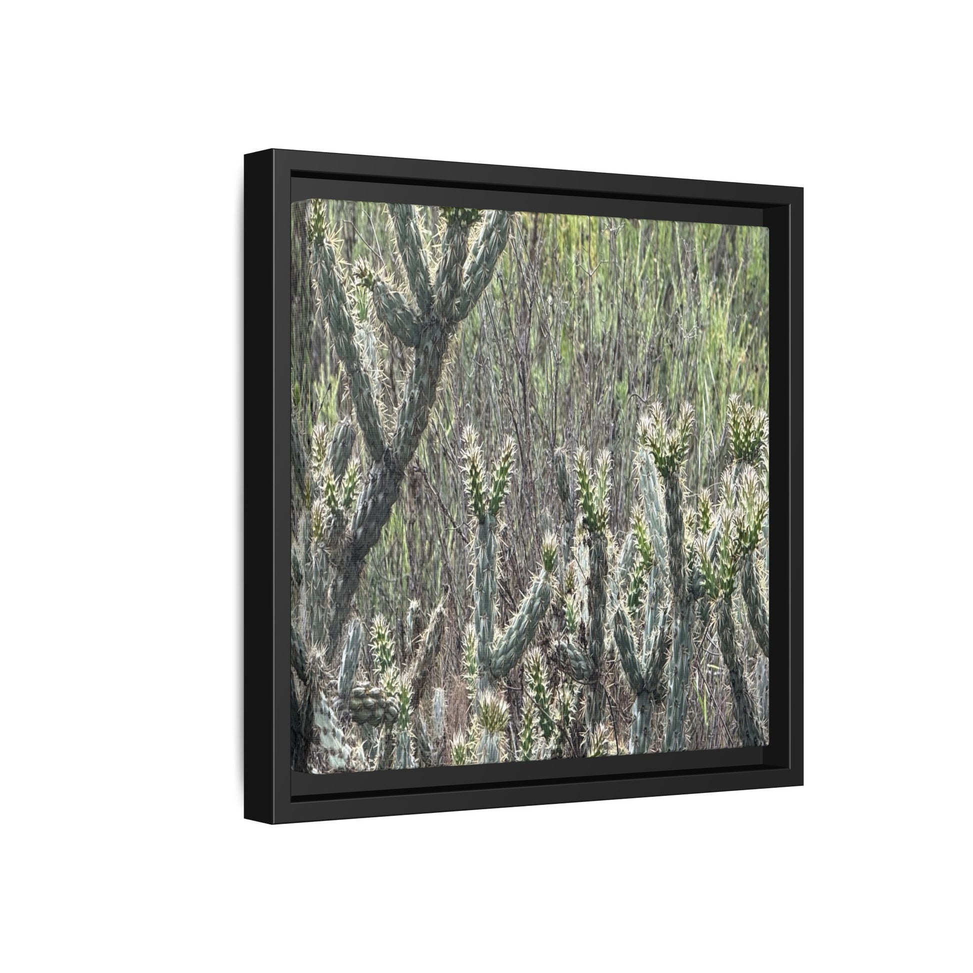 Prickly Paradise - Unique Stretched Canvas Wall Art - Art By Earth