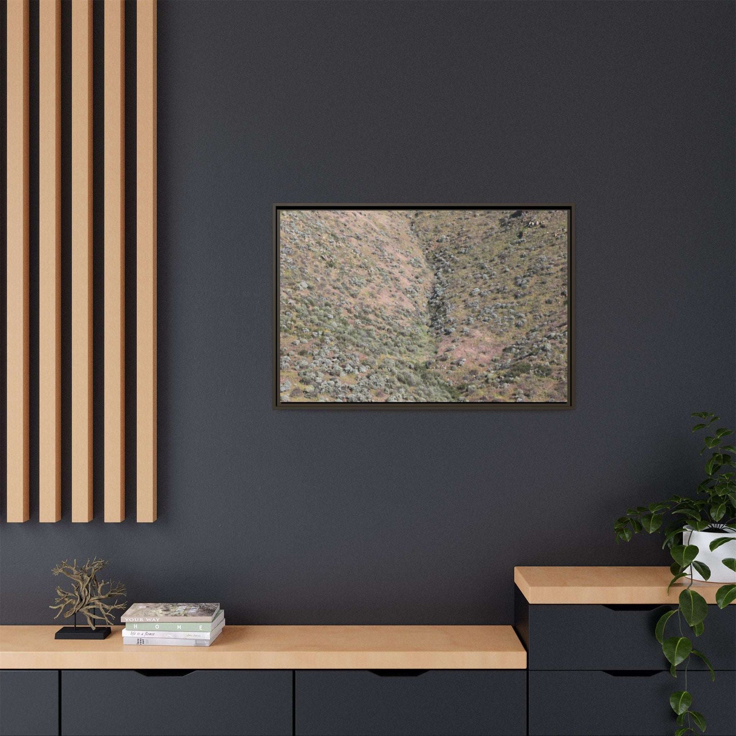 Mountain Slope with Desert Vegetation - Unique Stretched Canvas Wall Art - Art By Earth