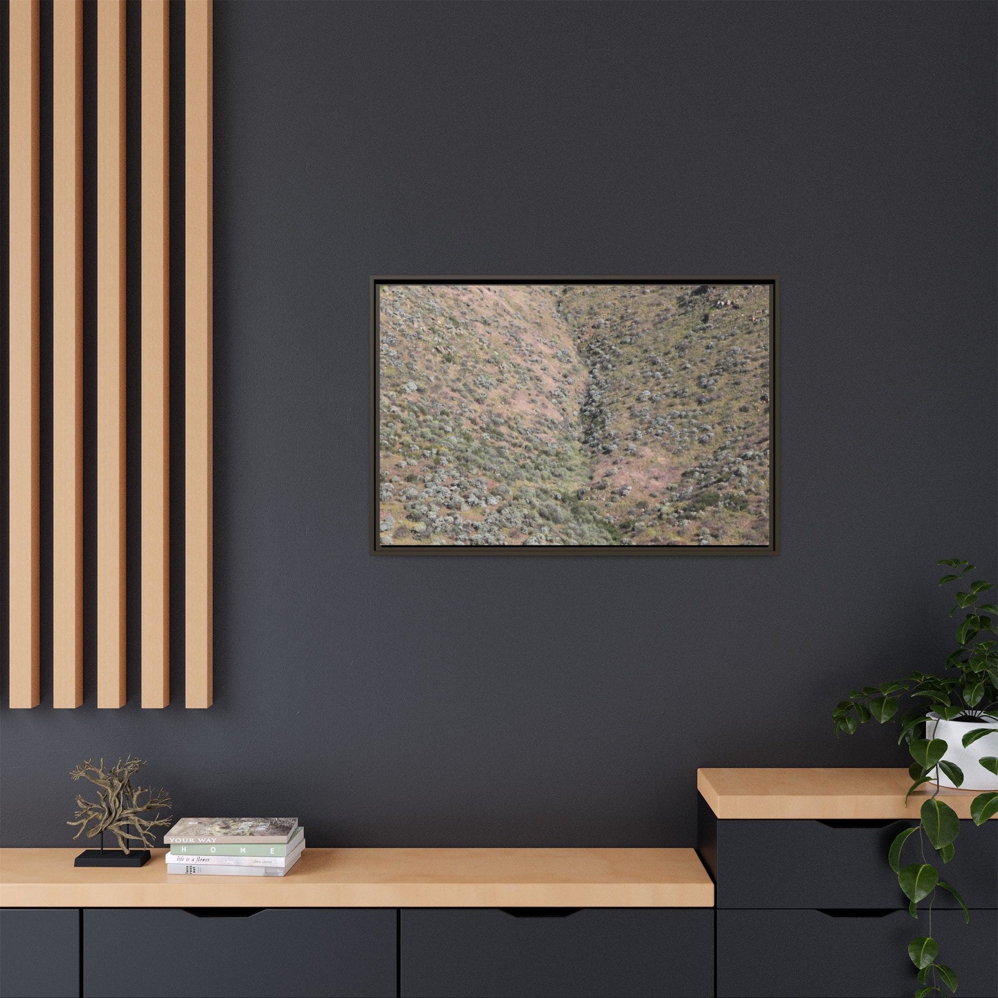 Mountain Slope with Desert Vegetation - Unique Stretched Canvas Wall Art - Art By Earth