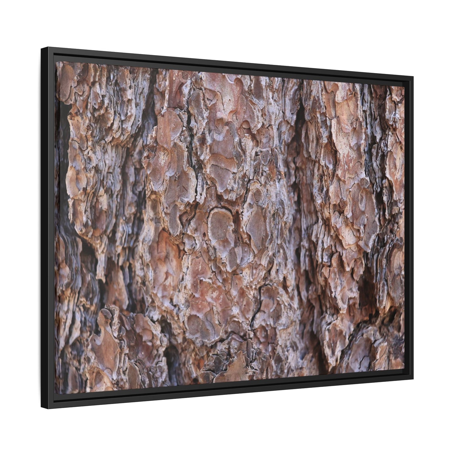 Woody Layers - Unique Stretched Canvas Wall Art - Art By Earth