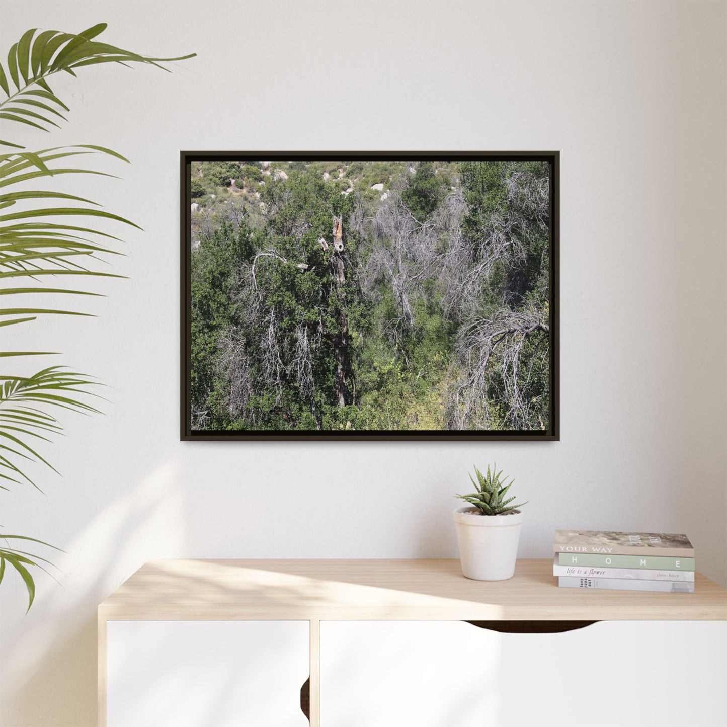 Forest Decline - Unique Stretched Canvas Wall Art