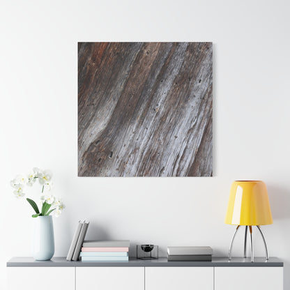Aged Planks - Unique Frameless Canvas Wall Art - Art By Earth