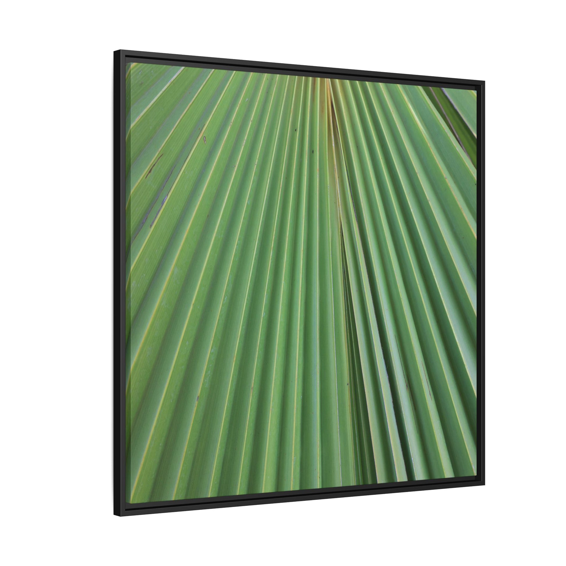 Verdant Veins - Unique Stretched Canvas Wall Art - Art By Earth