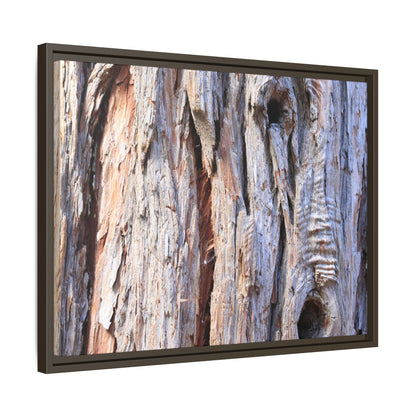 Nature's Grain - Unique Stretched Canvas Wall Art - Art By Earth