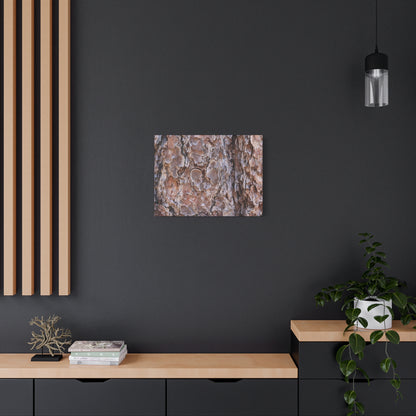 Rugged Bark Landscape - Unique Frameless Canvas Wall Art - Art By Earth