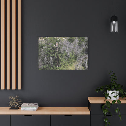 Drought-Stricken Forest - Unique Frameless Canvas Wall Art