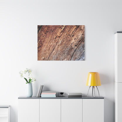 Natural Wood Grain - Unique Frameless Canvas Wall Art - Art By Earth