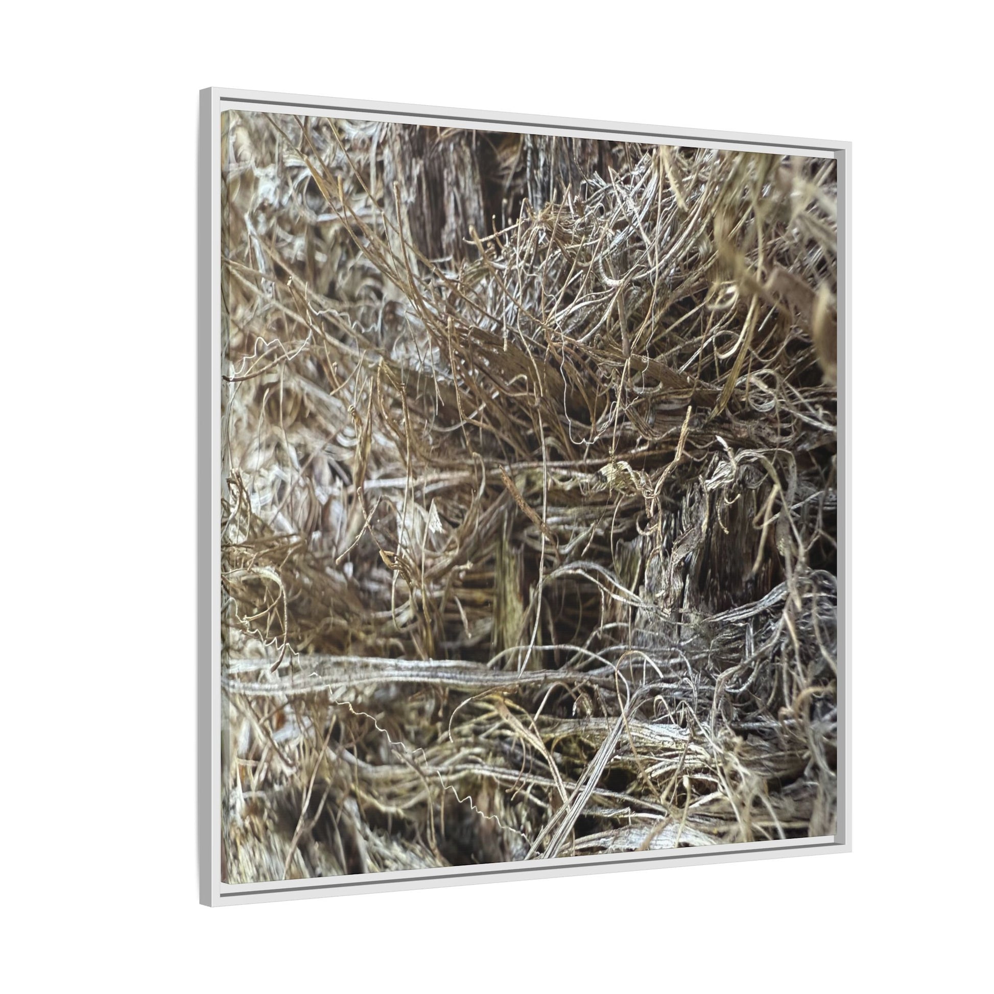 Tangled Whispers of Autumn - Unique Stretched Canvas Wall Art - Art By Earth