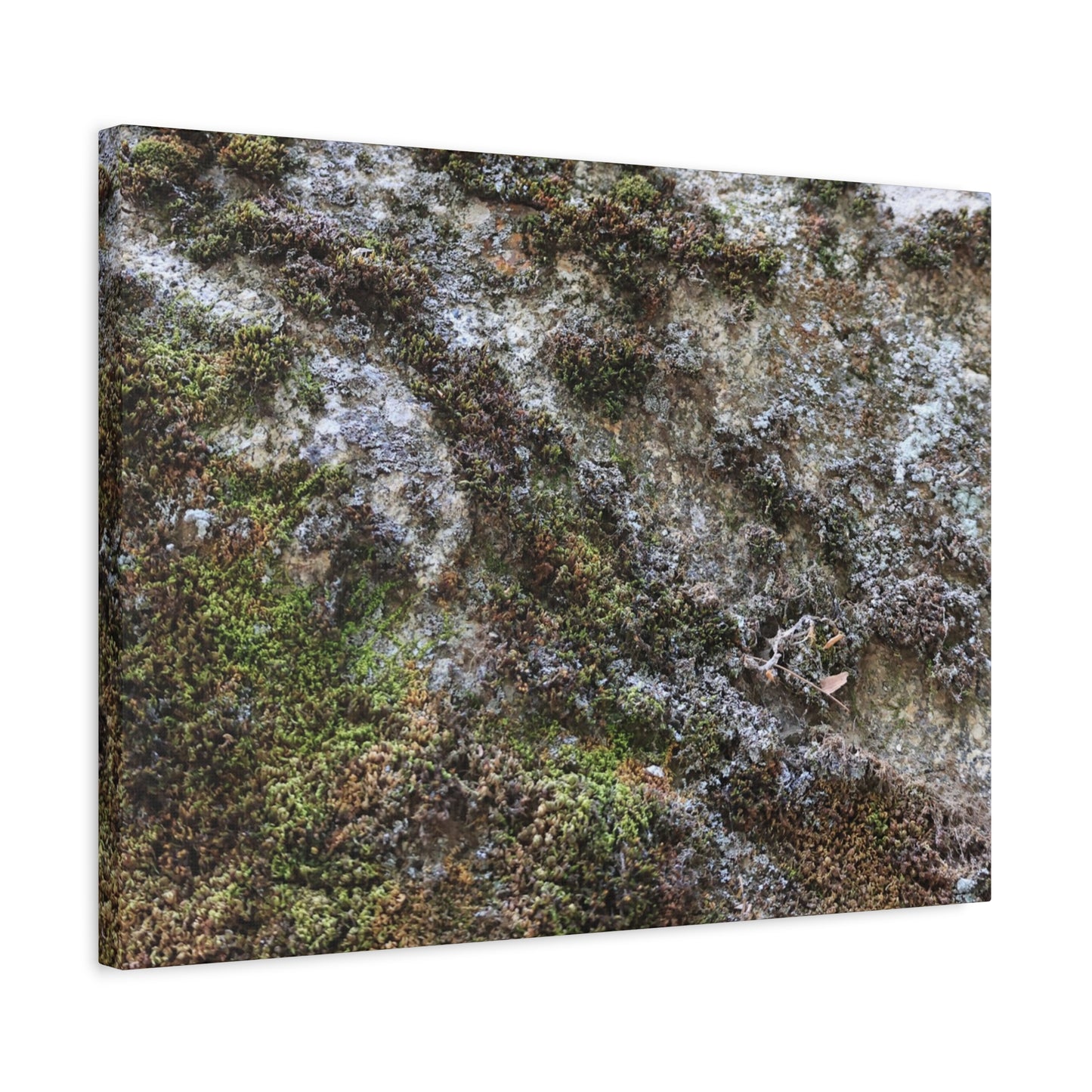 Moss Tapestry - Unique Frameless Canvas Wall Art - Art By Earth