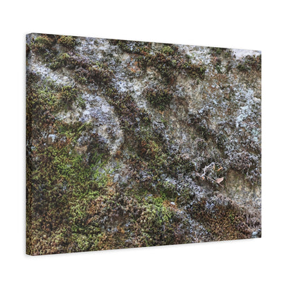 Moss Tapestry - Unique Frameless Canvas Wall Art - Art By Earth