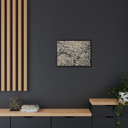 Arid Terrain Study - Unique Stretched Canvas Wall Art - Art By Earth