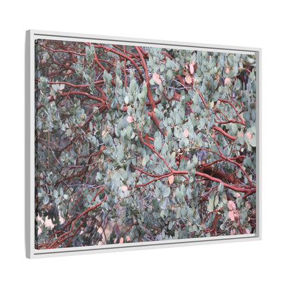 Whispers of Sage - Unique Stretched Canvas Wall Art - Art By Earth