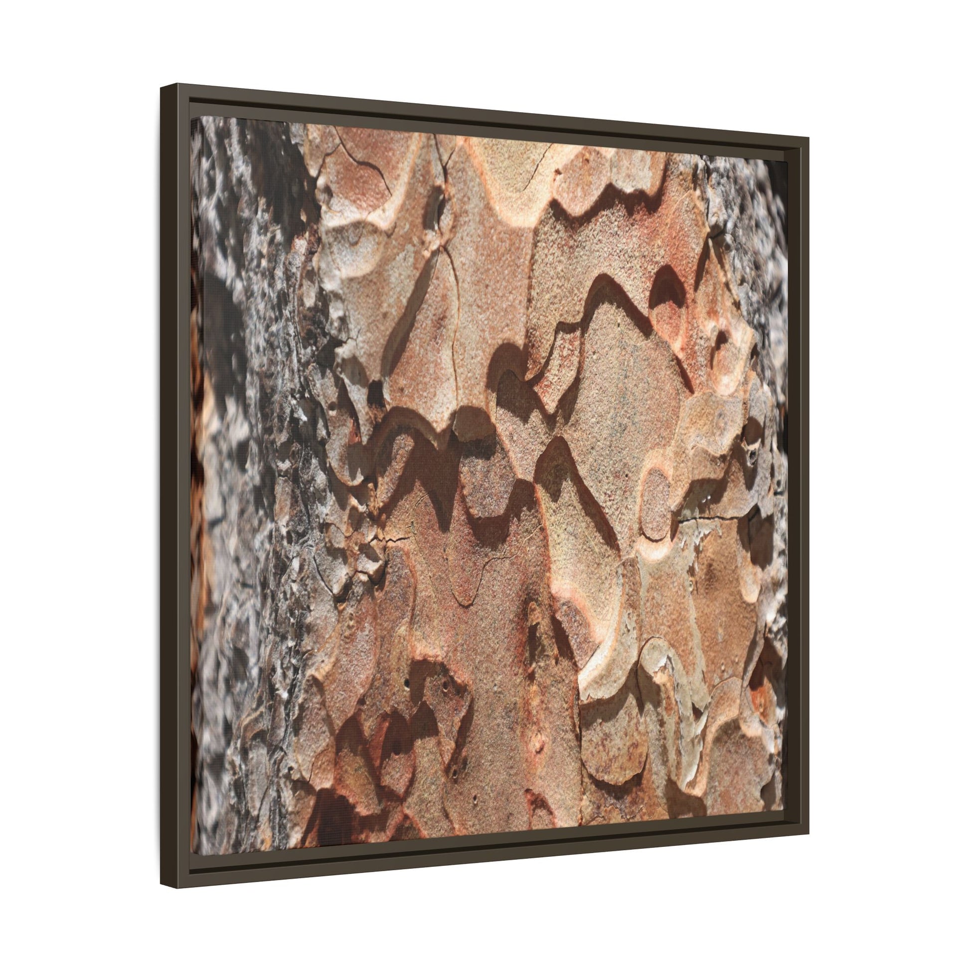 Rust and Stone - Unique Stretched Canvas Wall Art - Art By Earth