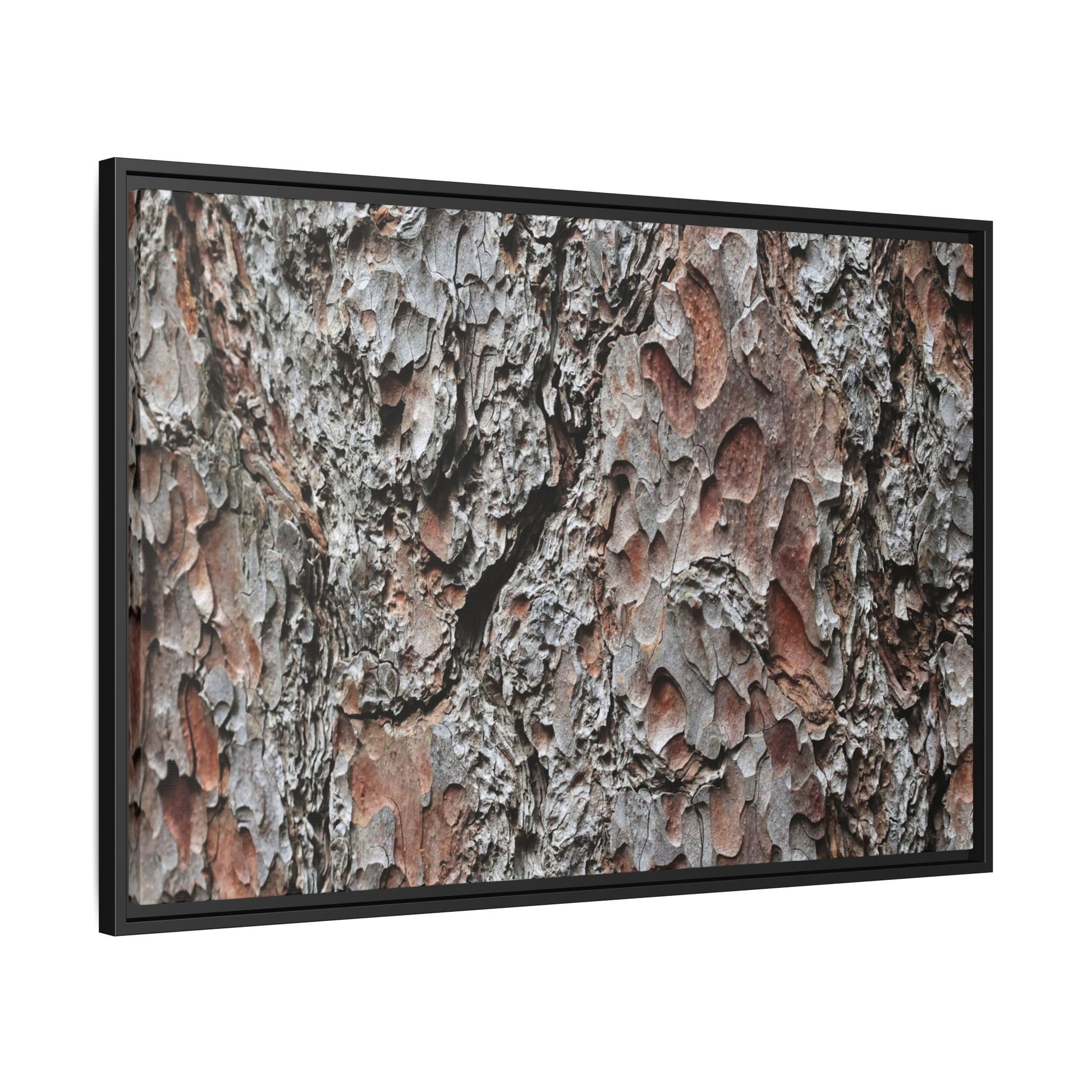 Bark Texture Symphony - Unique Stretched Canvas Wall Art - Art By Earth