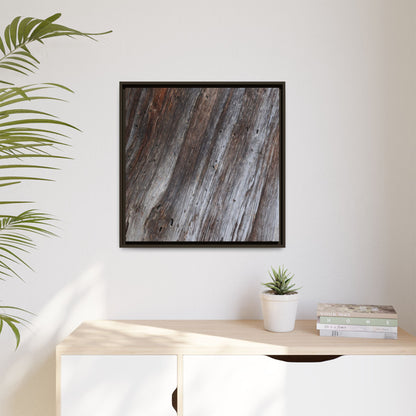 Aged Timber Texture - Unique Stretched Canvas Wall Art - Art By Earth