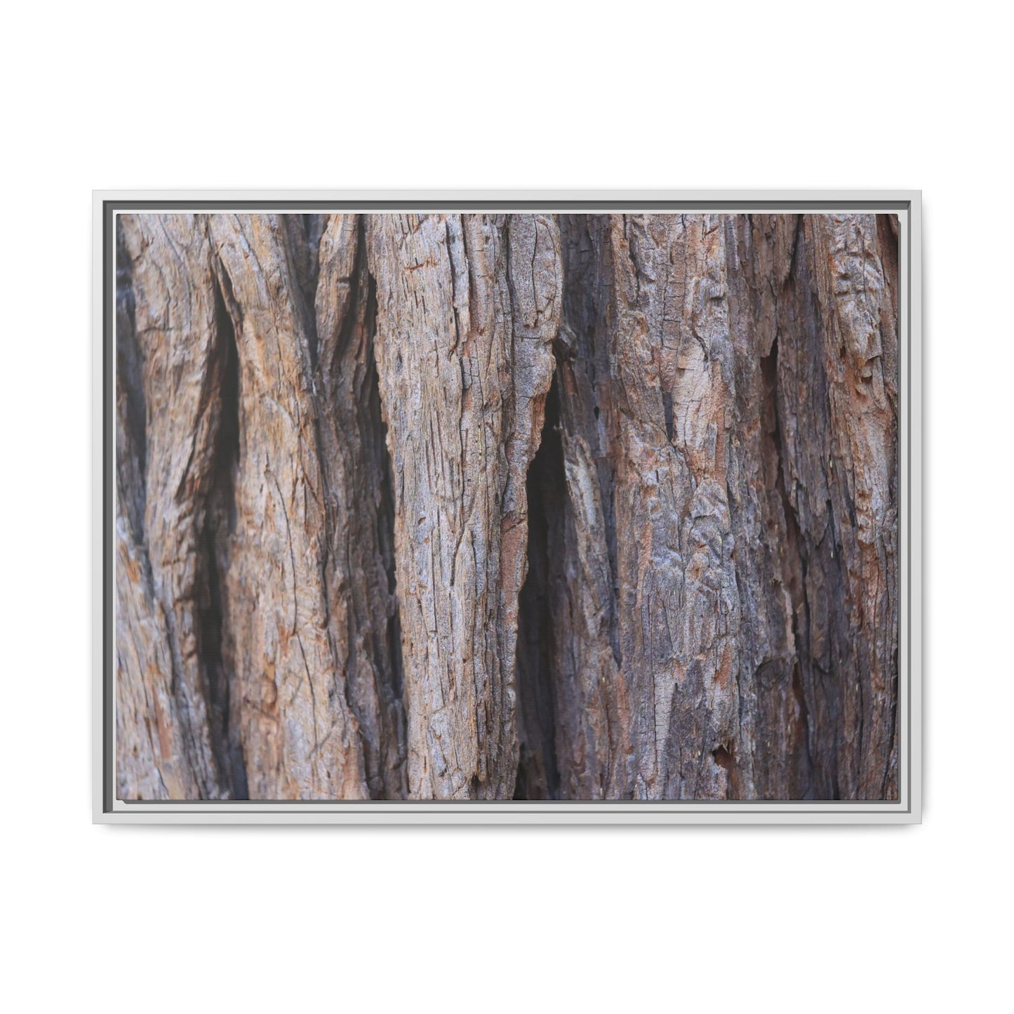 Ancient Grains - Unique Stretched Canvas Wall Art - Art By Earth