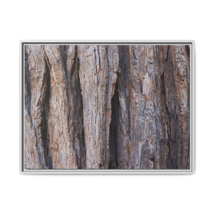 Ancient Grains - Unique Stretched Canvas Wall Art - Art By Earth