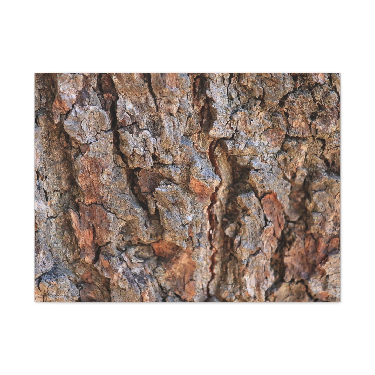 Roots of Time - Unique Frameless Canvas Wall Art - Art By Earth