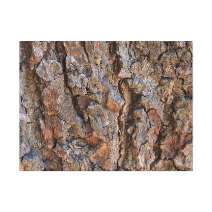 Roots of Time - Unique Frameless Canvas Wall Art - Art By Earth