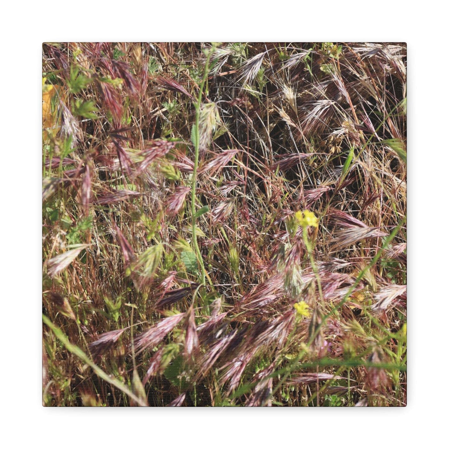 Autumn Wildflower Meadow in Transition - Unique Frameless Canvas Wall Art - Art By Earth