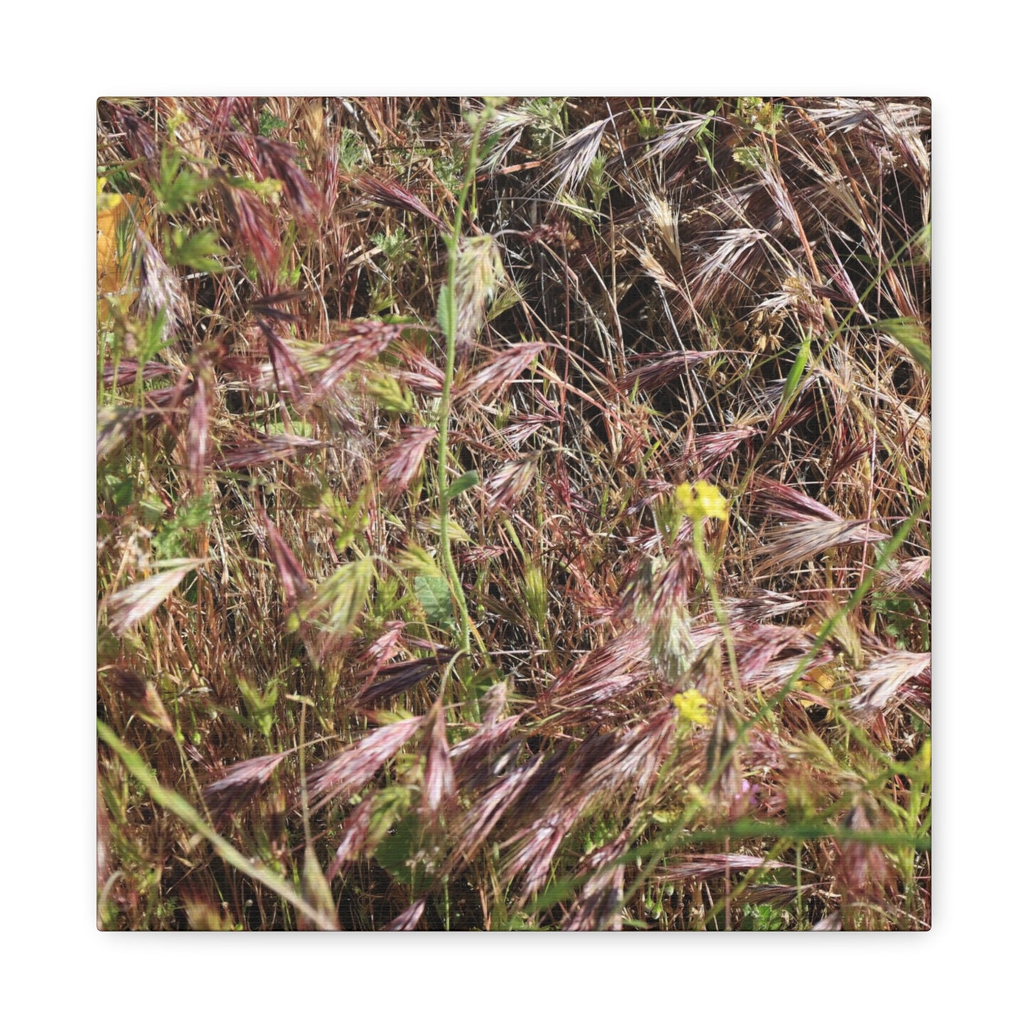 Autumn Wildflower Meadow in Transition - Unique Frameless Canvas Wall Art - Art By Earth