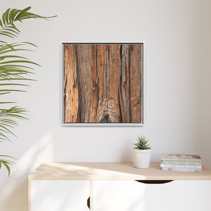 Echoes of Timber - Unique Stretched Canvas Wall Art - Art By Earth