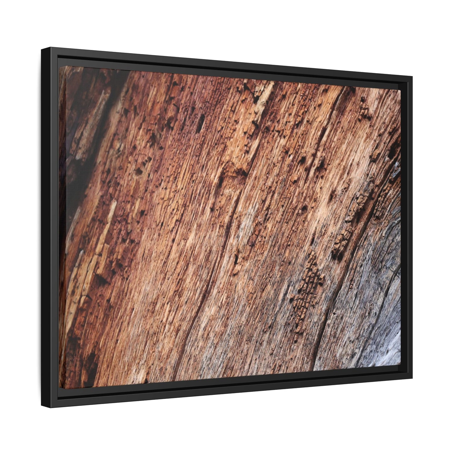Time's Mark - Unique Stretched Canvas Wall Art - Art By Earth