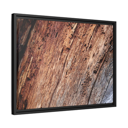 Time's Mark - Unique Stretched Canvas Wall Art - Art By Earth