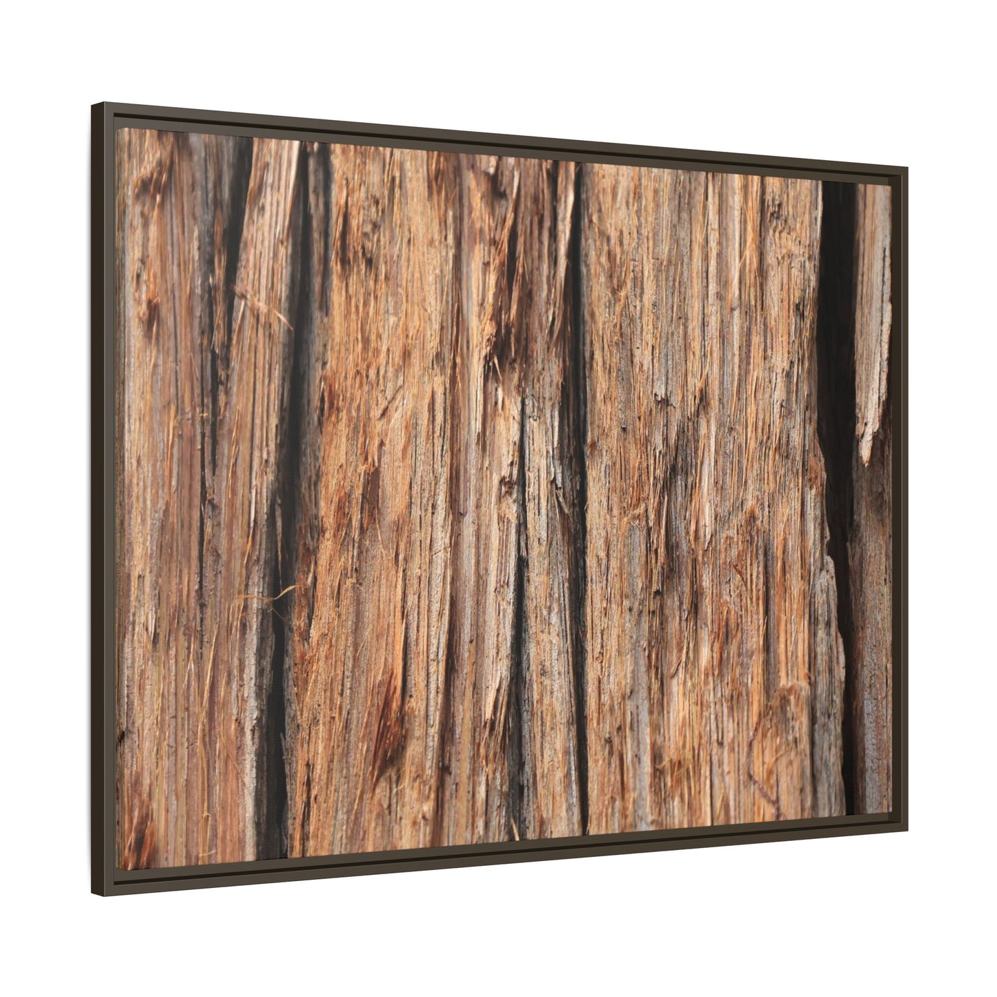 Timber Echoes - Unique Stretched Canvas Wall Art - Art By Earth