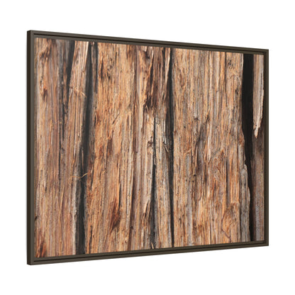 Timber Echoes - Unique Stretched Canvas Wall Art - Art By Earth