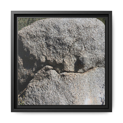 Stone Skull in Desert - Unique Stretched Canvas Wall Art