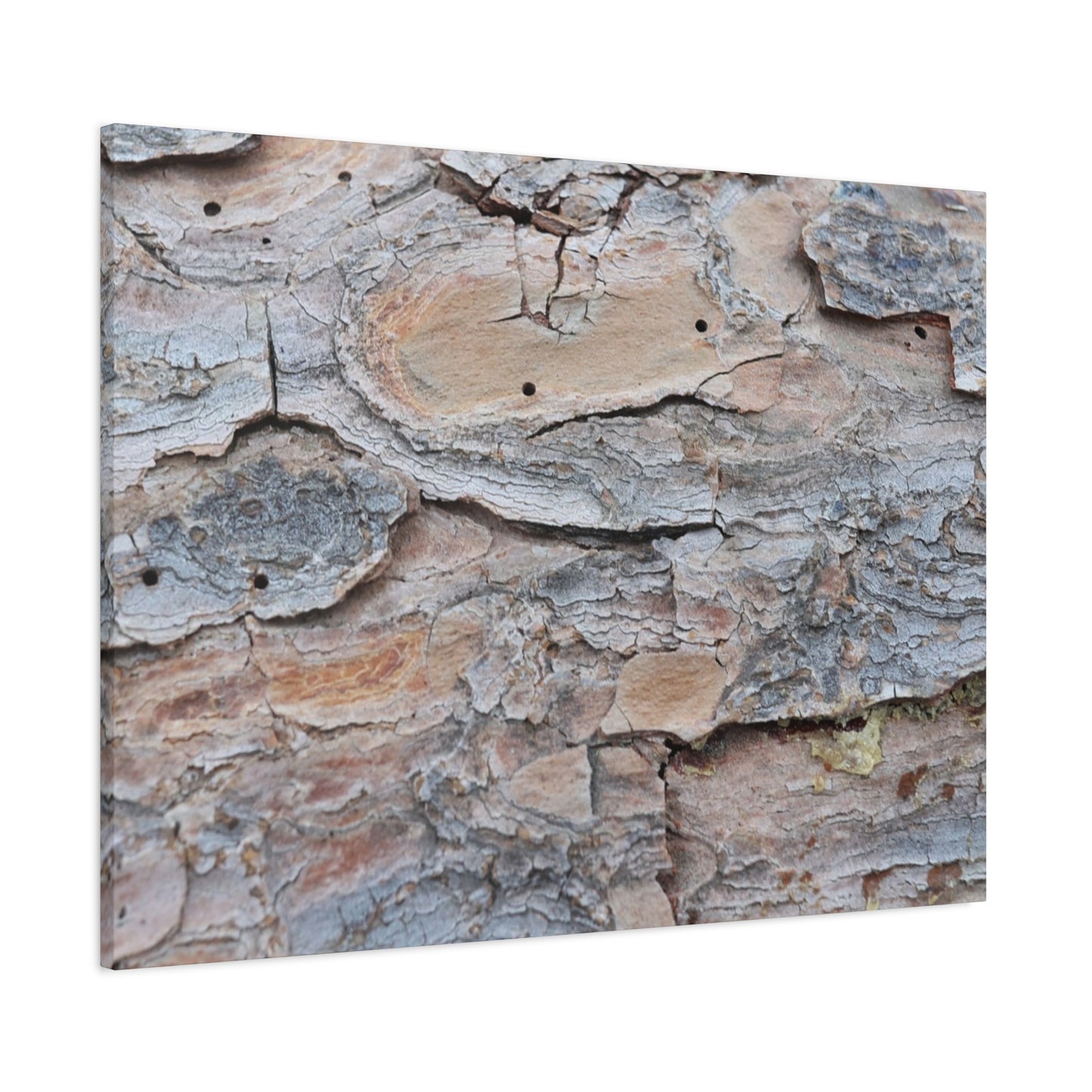 Textural Geology - Unique Frameless Canvas Wall Art - Art By Earth