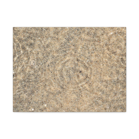 Desert Memory - Unique Frameless Canvas Wall Art - Art By Earth