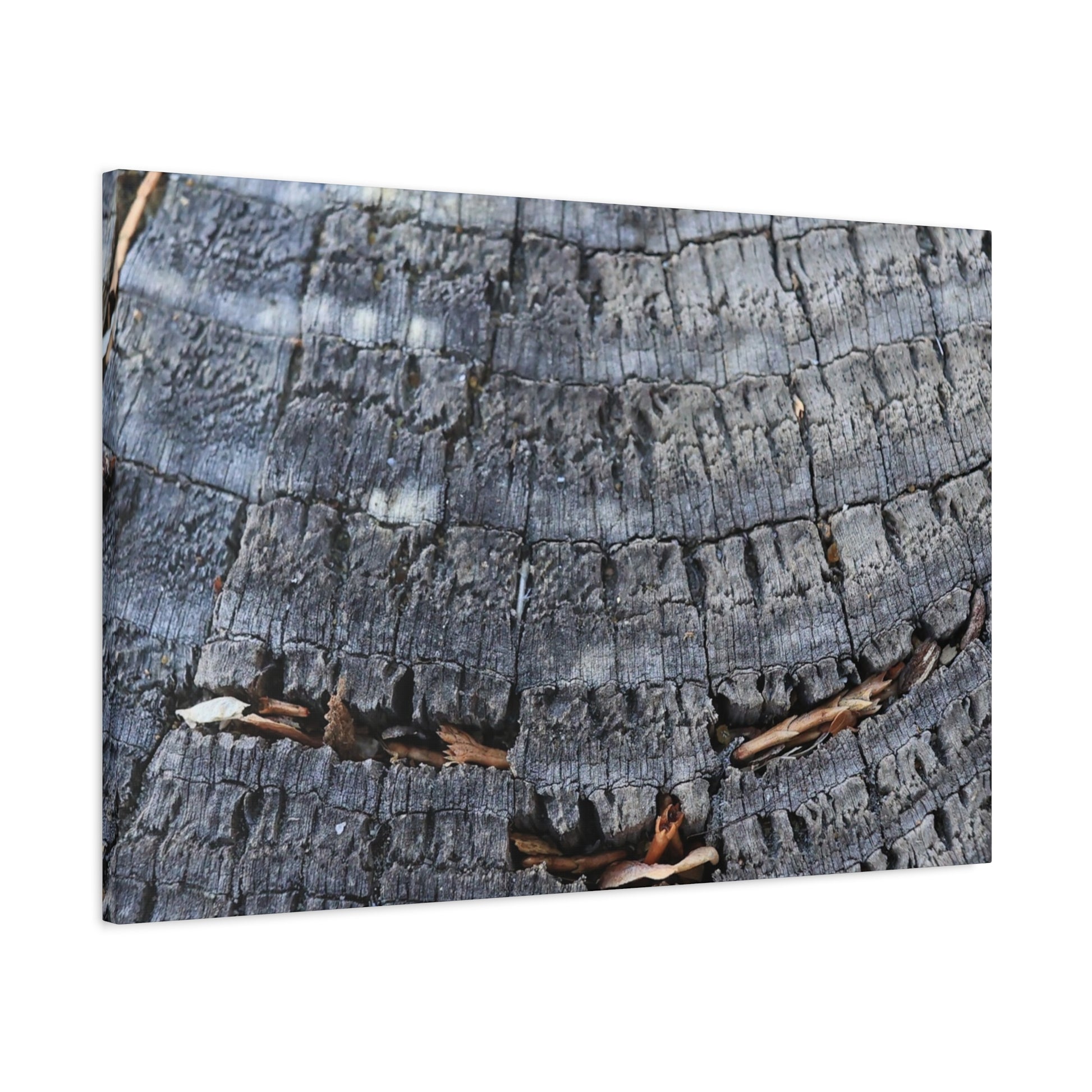 Time's Fractal Whispers - Unique Frameless Canvas Wall Art - Art By Earth